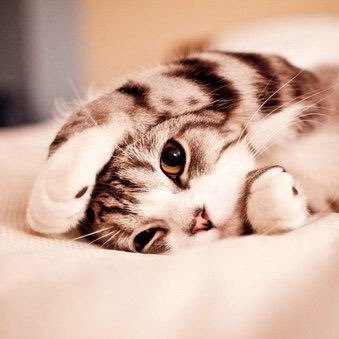 maru