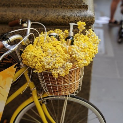 まるみデンマーク