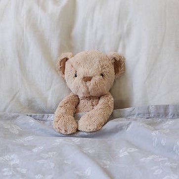 𝐦𝐚𝐬𝐡𝐢𝐫𝐨