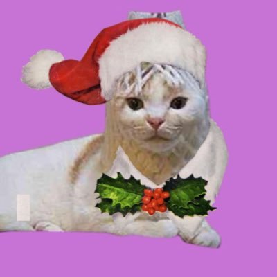 jebi💜 ⟭⟬ᴱ ᴬᴿᴱ ᴮ⟬⟭ᶜᴷ