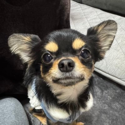 みやチャン👿 Ψ