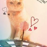 めがねいな💜アポバンボ