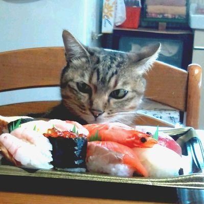 コッキー(ง •̀_•́)ง