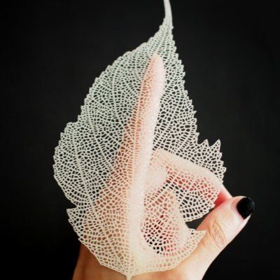 望月めぐみ Megumi Mochizuki