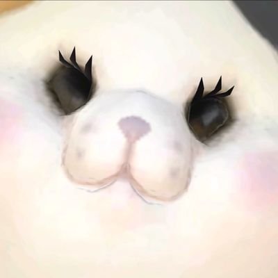 でぶねこファットキャットX