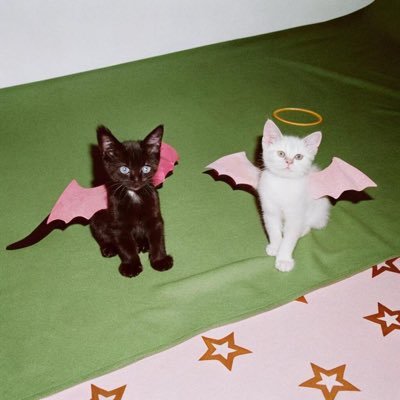 22さいはにゃんにゃんさい