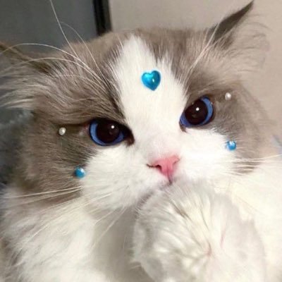 𝐹 ❤︎