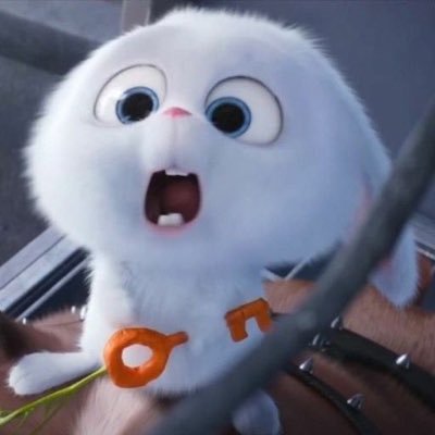 み(⚠️固ツイ必読)