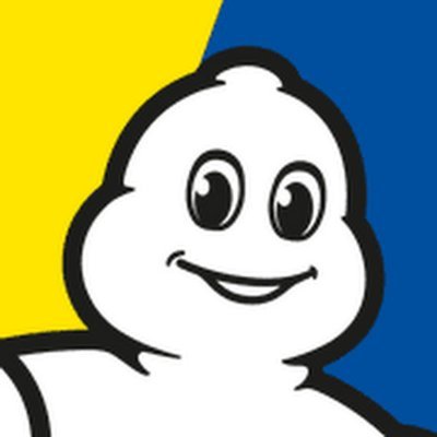 michelin_sport profile picture