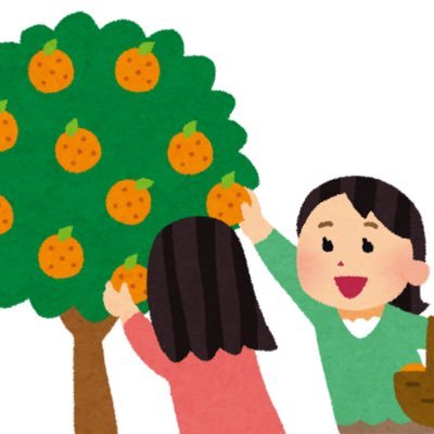 おれんちのオレンジ