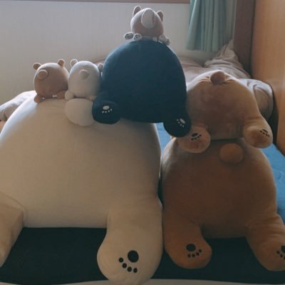 ぬるまゆ🐹🦊