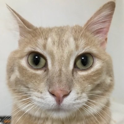 三日月 〜MIKAZUKI〜