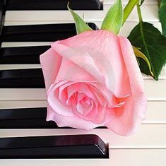 🌸D.O. for life🌸