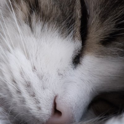 ベン・ω・ケー