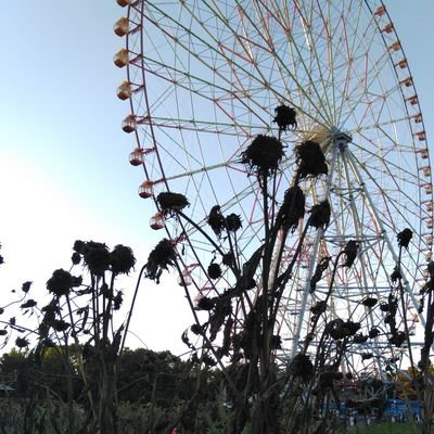 御霊✋🤘ぬ~べ~ｱﾆﾒ水曜ﾃﾚ朝23:45～！