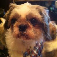 みやちゃん（消滅世界、ぜひ観てね〜）