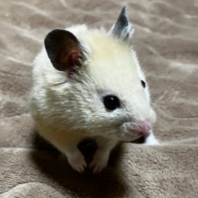 みゆきちゃ誤字ら(オーラ緑)