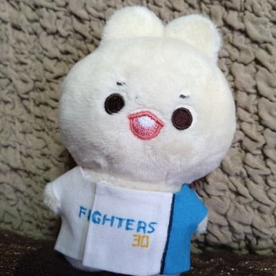 みずもとあおい＊Aoi Mizumoto