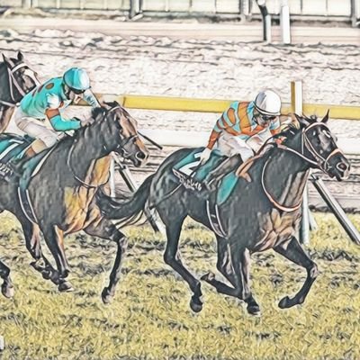 MIZUKI 競馬アナリスト