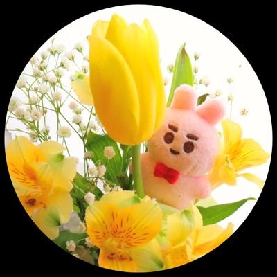 ꙳ꪔ̤̮ mrp *ᕷ˖°