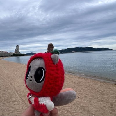 ナピ🐿️🍭