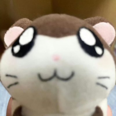 (ദ്ദി ᴖ⩊ᴖ )