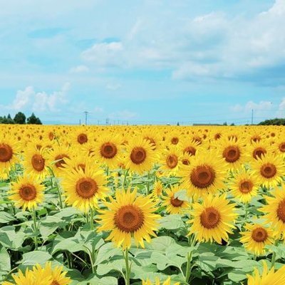 モチベビ👶🏻ベビー用品