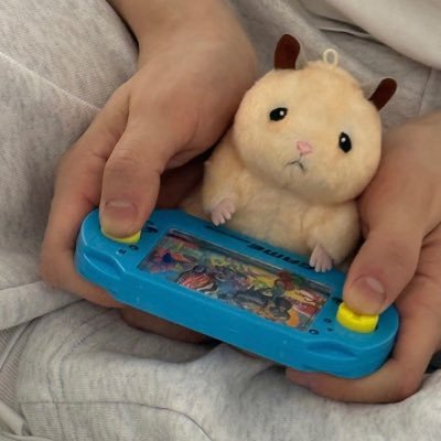 もふこ𐔌՞･·･՞𐦯♡🍀