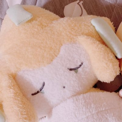 もめん