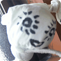 NASA-G（森本　明日美）