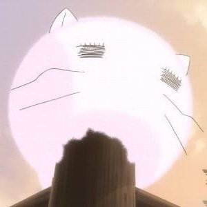 ももねこ🍑😼