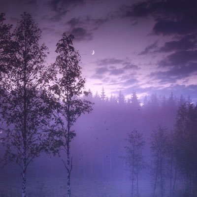 ⟭⟬美月⁷⟬⟭