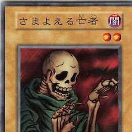 さまよえる易者