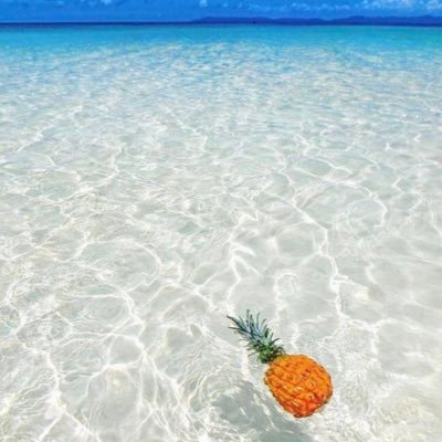 🍔(固ツイ必読