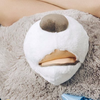 🕊 ͗ ͗〰︎︎♡