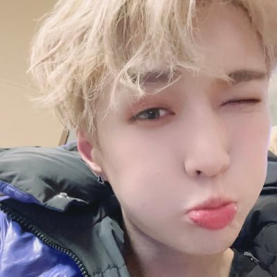 艺兴のHONEY柴犬@サブロー莲莲子🐝🐕💜