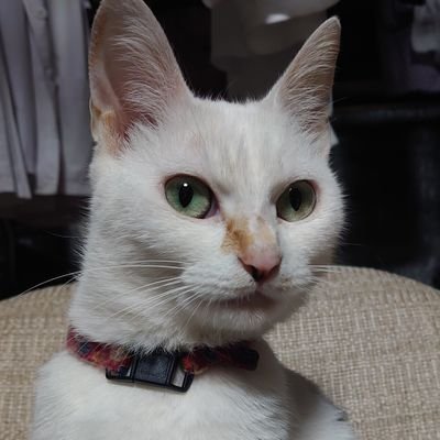 みーさむ~ﾂｲﾌｨ必読~