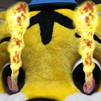 🐯なかぴー NAKA-P🔥