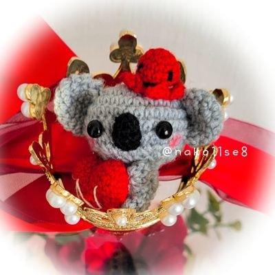 nako🐨🌹🐙✦ฺ₊