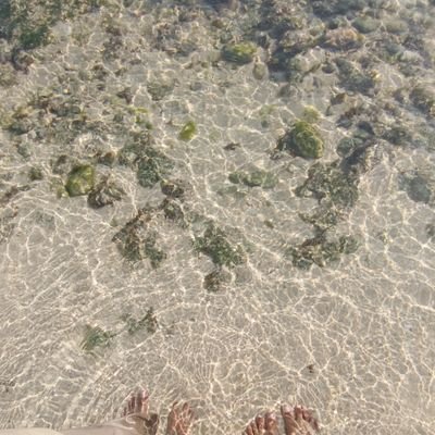 fia ☆ ?2 ♡ mention after dm 🏂