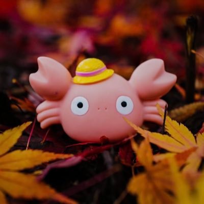 コノコヤ🌳🐨🌳🎷