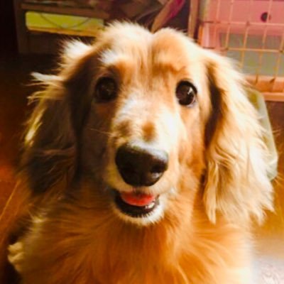 よこた