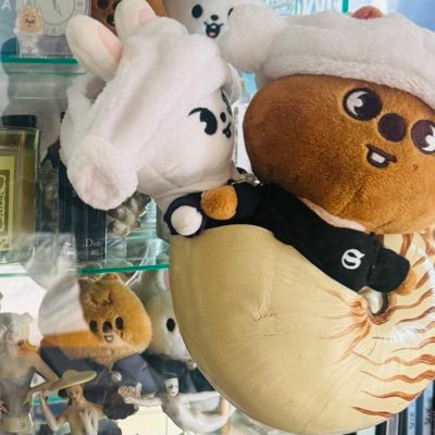 (なしえ)🍷🖤🍪♡🐿