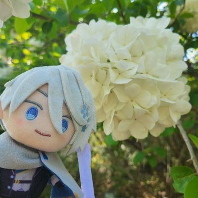 なむ(プロカ必読)