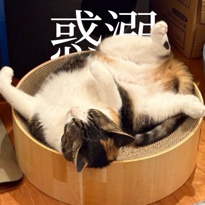 ネコジャラシ🌾🍬