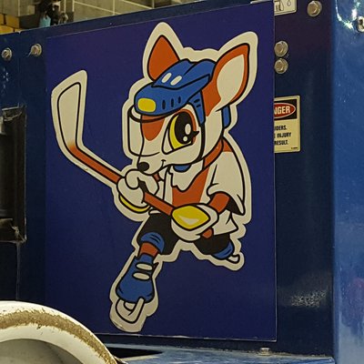 ねこみのだんな