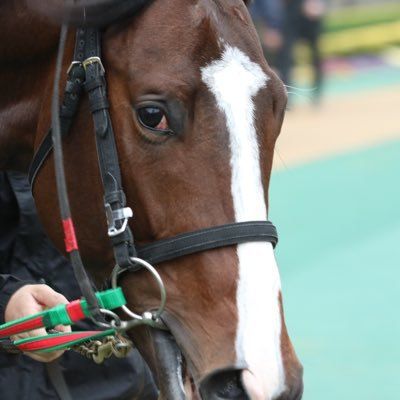 ホーガン🐮🐸🦍