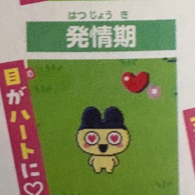 ドーパミン中毒のゲイ❣️