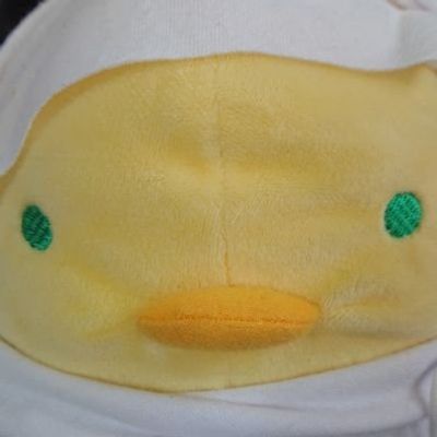 にぼし＠プロカあります。