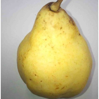 新潟市南区観光案内